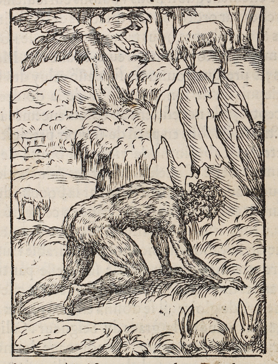 Pierre Boaistuau, Histoires prodigieuses, 1560